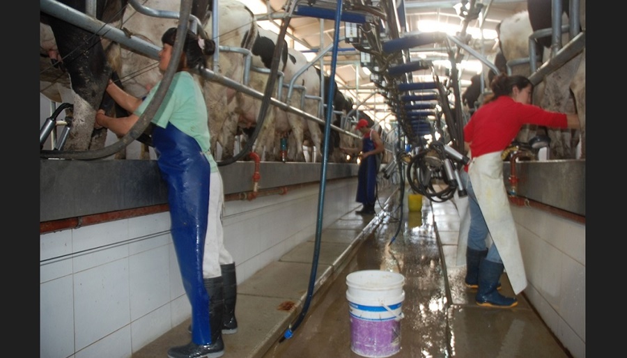 La leche de Marzo aumentará alrededor de un 8% promedio
