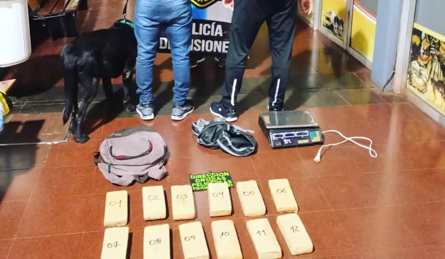 Can antinarcóticos de la Policía de Misiones detectó droga en la Terminal de Ómnibus de Posadas