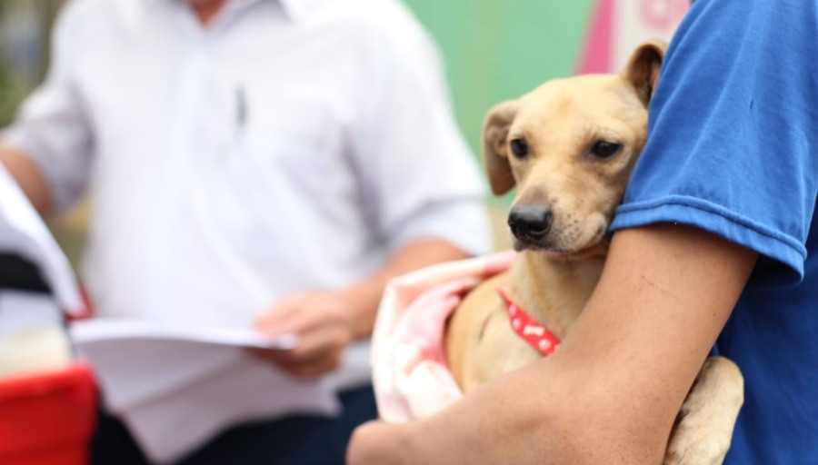Posadas: El IMuSA amplía su cobertura con atención veterinaria en los barrios