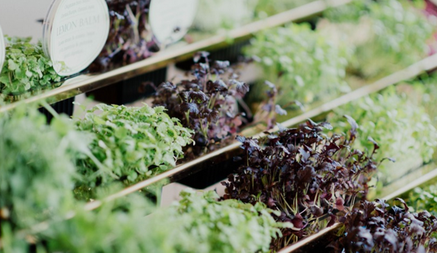 Del productor al consumidor, los precios de los agroalimentos se multiplicaron por 3,4 veces en Marzo