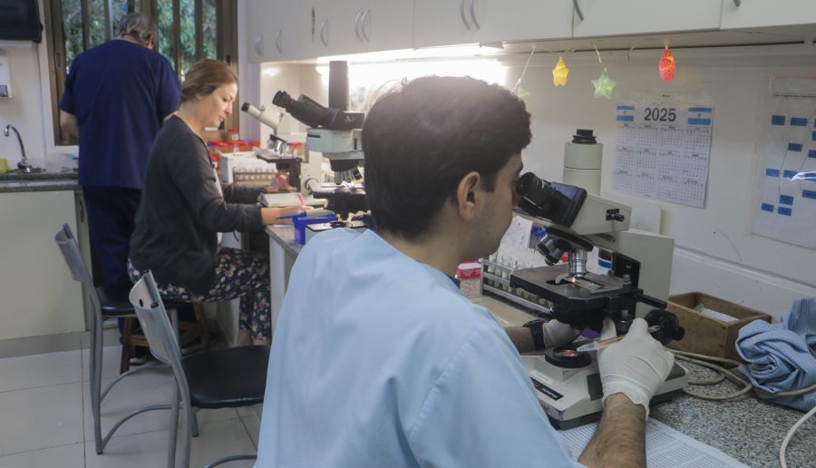 Factor humano e innovación tecnológica, roles fundamentales en la cobertura de la alta demanda en el Laboratorio Central de Misiones