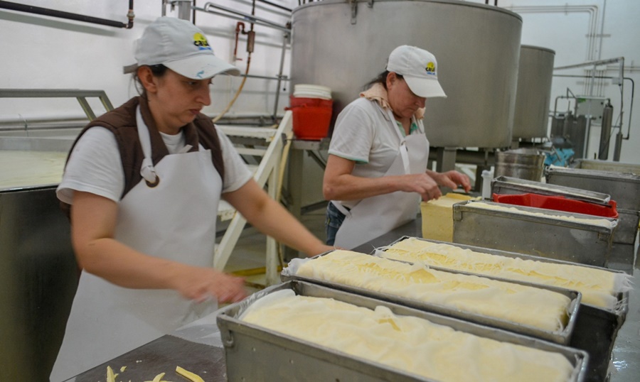 Quesos misioneros: Uno de los principales aspectos que distingue a la lechería de la provincia es que el valor agregado se realiza en origen