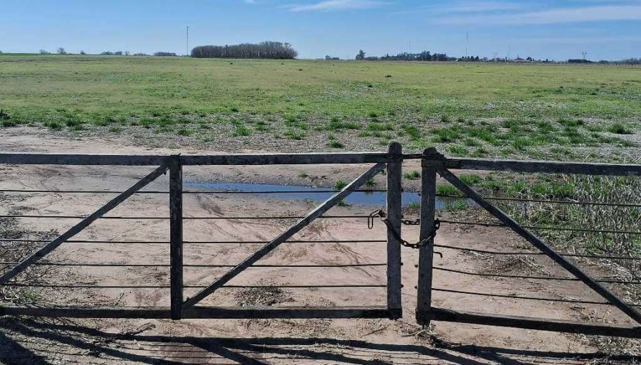 Lluvias espaciadas en el tiempo y altas temperaturas: Lo que viene en una campaña con “Niña tardía”