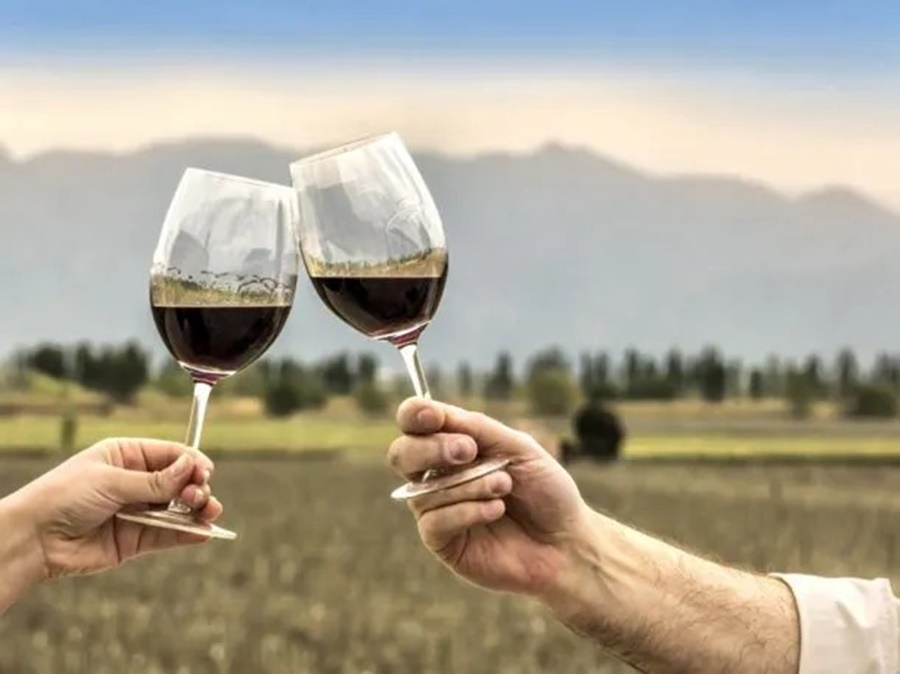 El vino aumentó más que la inflación promedio en Abril