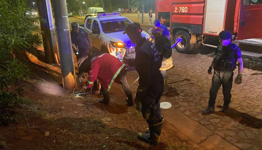 Apóstoles: Bomberos de la Policía de Misiones con los recaudos necesarios capturaron una víbora especie “yarará crucera” de gran tamaño y fue entregada para su reubicación en su hábitat natural