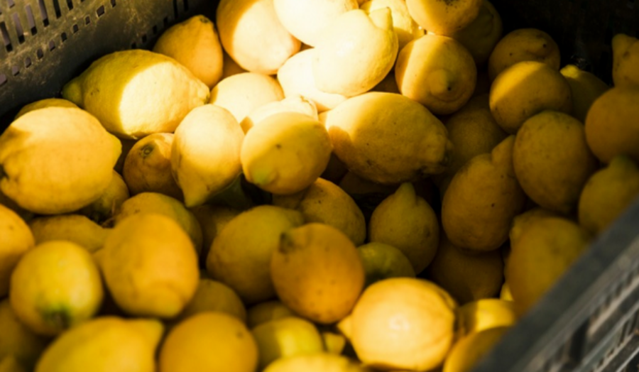 Del productor al consumidor, los precios de los agroalimentos se multiplicaron por 3,4 veces en el mes de Septiembre