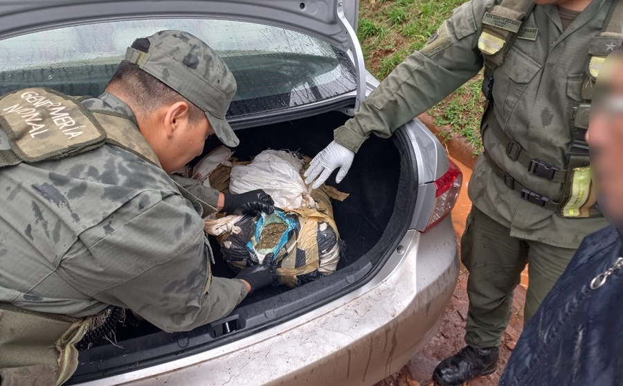 Nueve detenidos en el marco de una causa por narcomenudeo: Gendarmería Nacional secuestró además plantines, cogollos y semillas de marihuana, así como ocho vehículos y dinero en efectivo