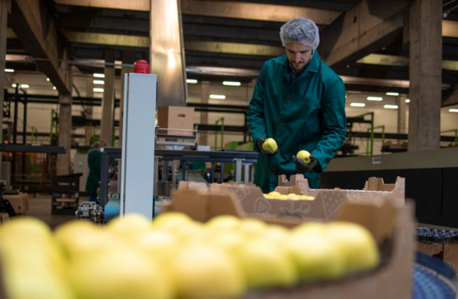 Entre Enero y Octubre de 2024, las exportaciones de las PyMEs crecieron un 21,8% en dólares y 30% en toneladas