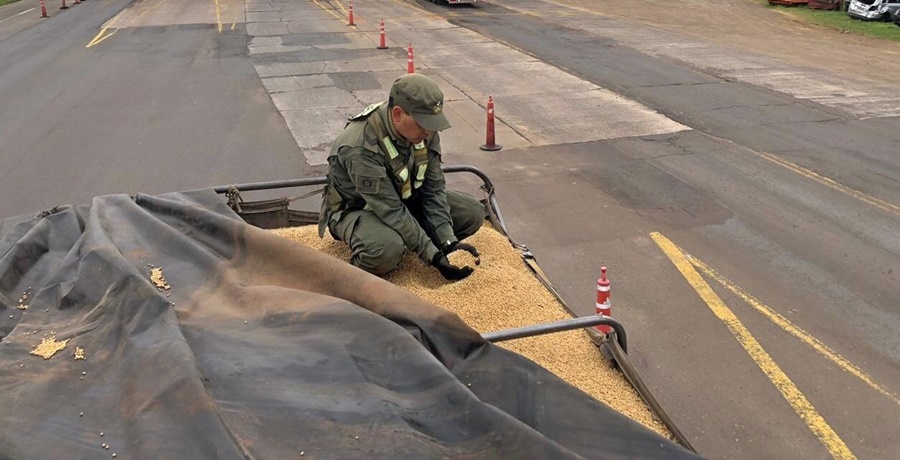 Personal de Gendarmería Nacional Argentina secuestró más de 209 toneladas de granos de soja