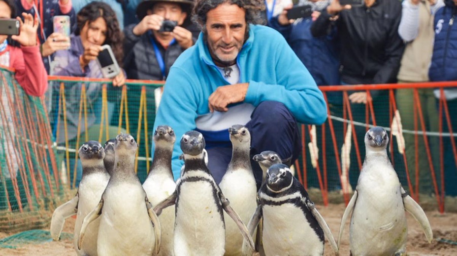 Conservación: Qué hacer frente a la aparición de animales silvestres en ambientes turísticos