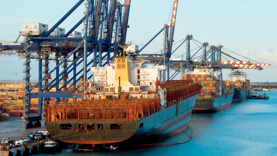 Exportaciones agroindustriales crecieron más del 55% en 2024