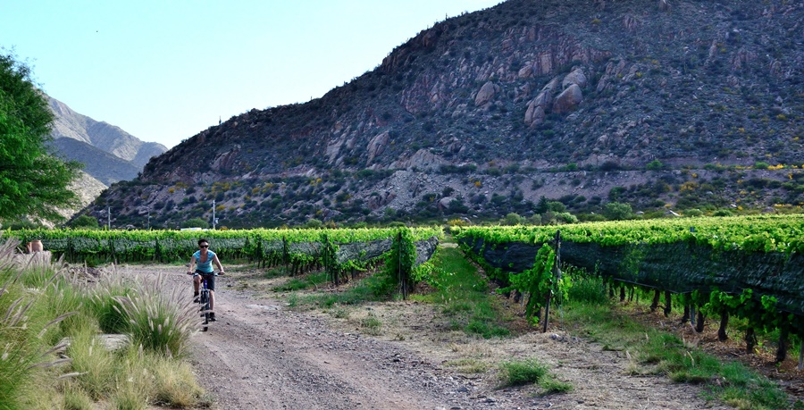 En Chilecito, 9 y 10 de Noviembre: La Rioja será sede de las III Jornadas Nacionales de Turismo del Vino