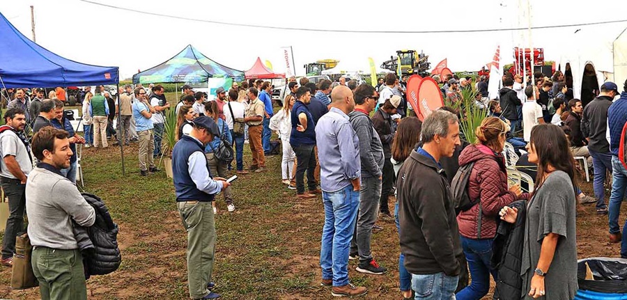 Santa Fe: Un gran escenario para la producción de soja y maíz con biológicos en Venado Tuerto