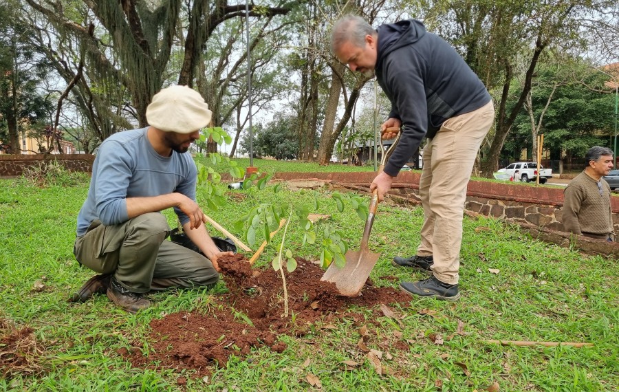 En el Día del Árbol, Apóstoles planta el futuro