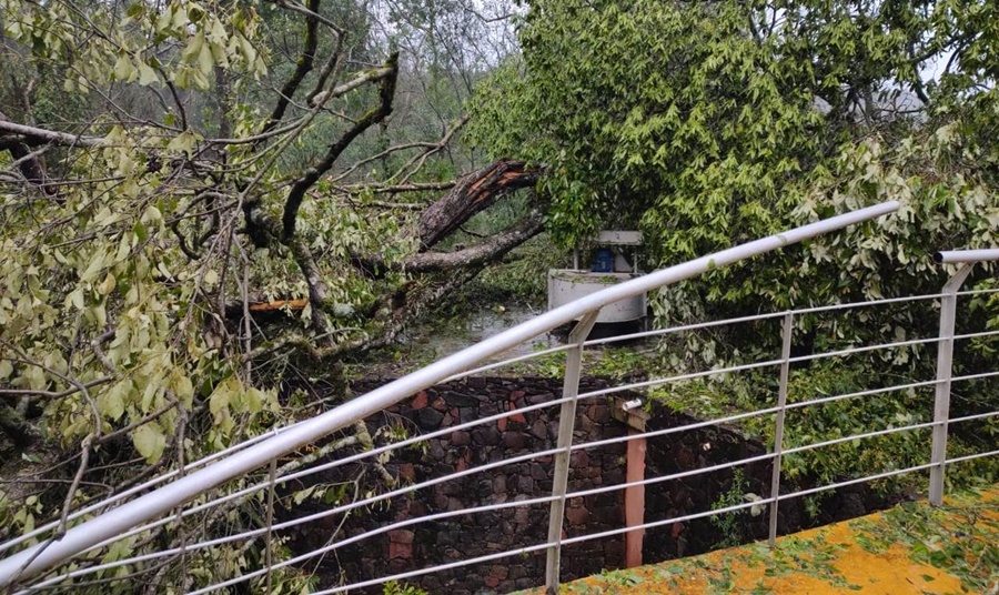 Misiones: El Parque Salto Encantado estará cerrado hasta el miércoles