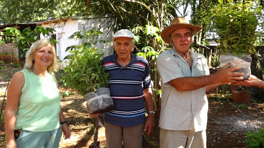 Apóstoles: En el marco del Programa Pro Leña, se hizo entrega de plantines de eucaliptus, fueron beneficiados 38 productores del Municipio