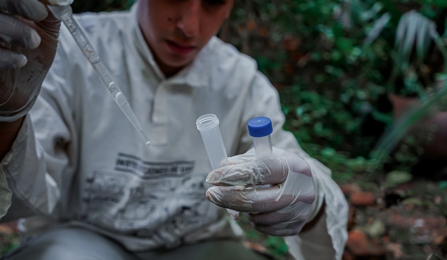 Recorren los barrios posadeños con el operativo de fumigación y descacharrado