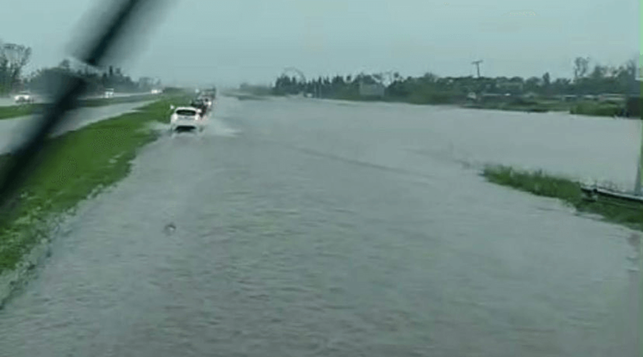 “Drámatico momento”: Preocupan las pérdidas productivas en el sur de Santa Fe por las fuertes lluvias