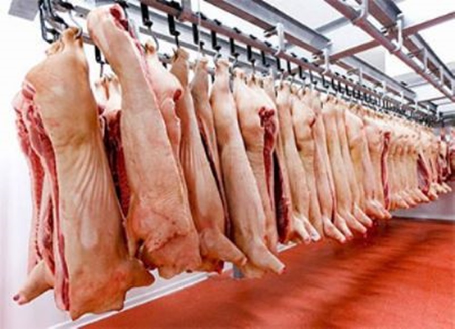 Apóstoles: Cuanto costará el kilo del lechón para las fiestas de fin de año