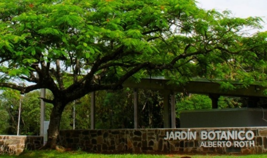 Posadas: Paseo guiado por el Jardín Botánico