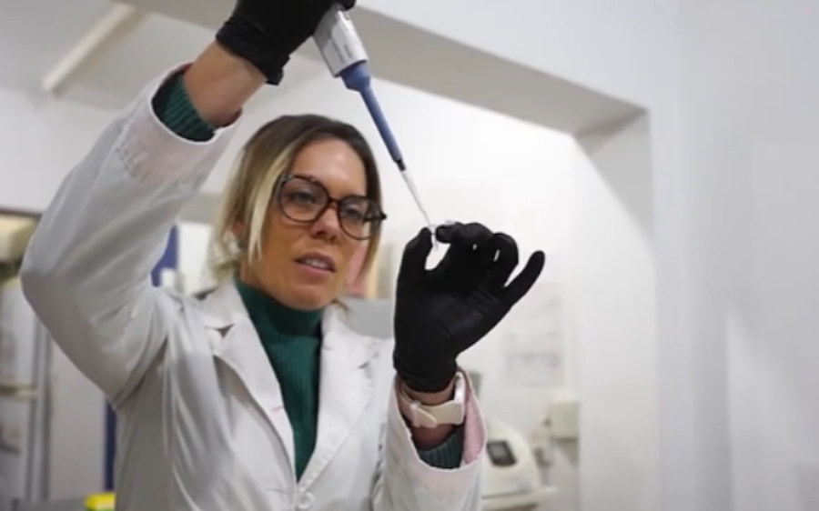 Startup misionera desarrolla un biopesticida que protege cítricos sin dañar el ambiente