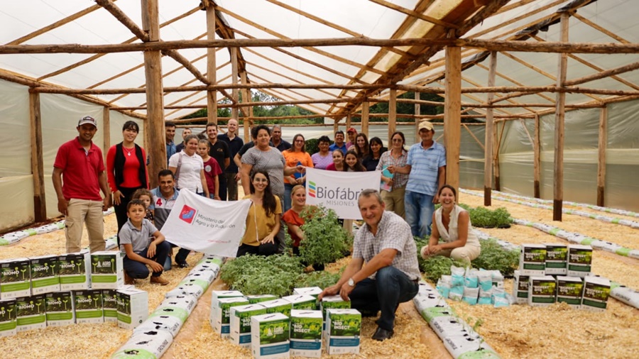 Innovación tecnológica para ampliar la producción de tomate en escala en Misiones