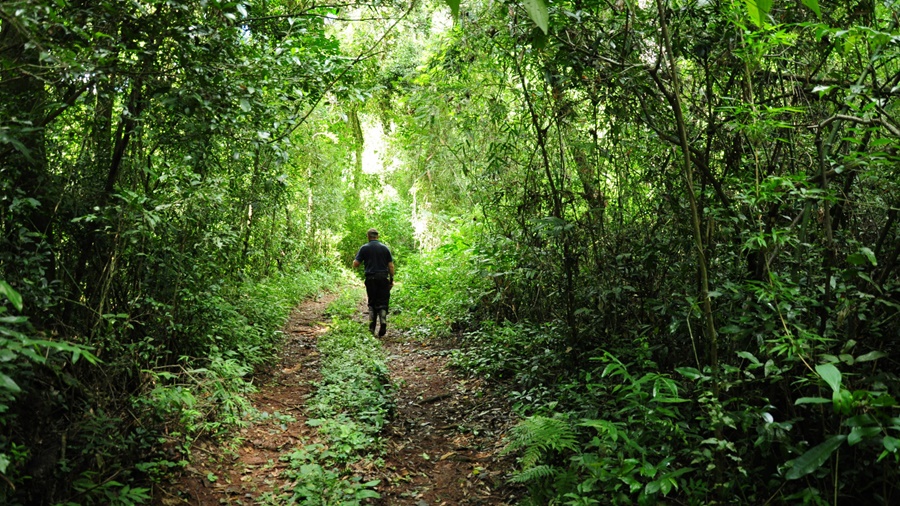 Caminatas guiadas por el Moconá: Oportunidad única para conectar con la naturaleza, ideal para los amantes del aire libre y la aventura