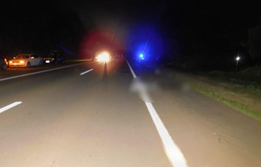 Misiones: Hallaron a un muerto a la vera de la Ruta Nacional N° 14 en San Vicente y se investiga la causa