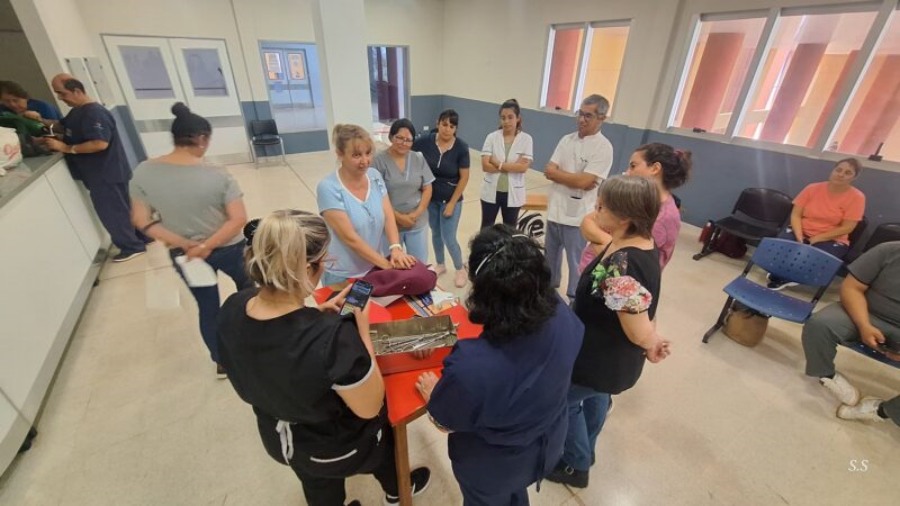 Misiones: Actualización Perinatal 2024, cerca de trescientos profesionales del sistema público de salud participaron del Programa