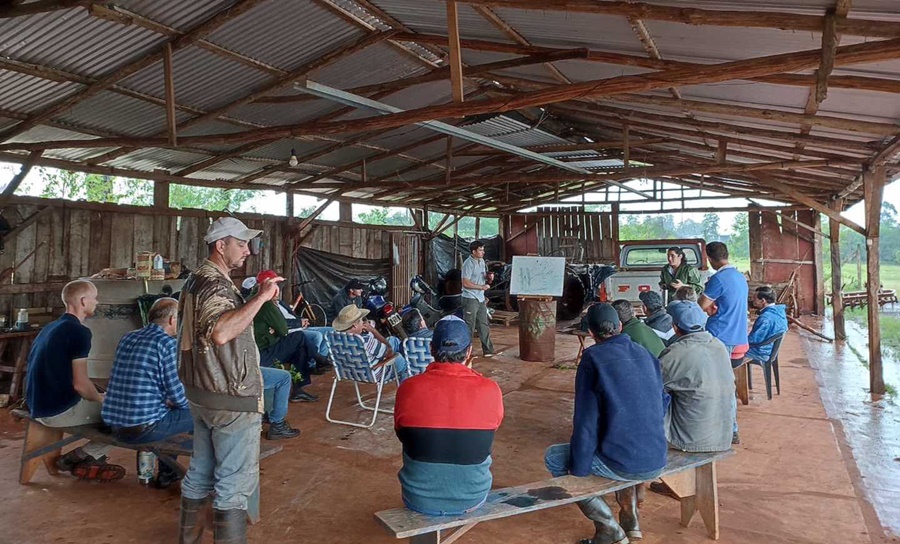 Continúan las capacitaciones en manejo de yerbales dañados por granizo