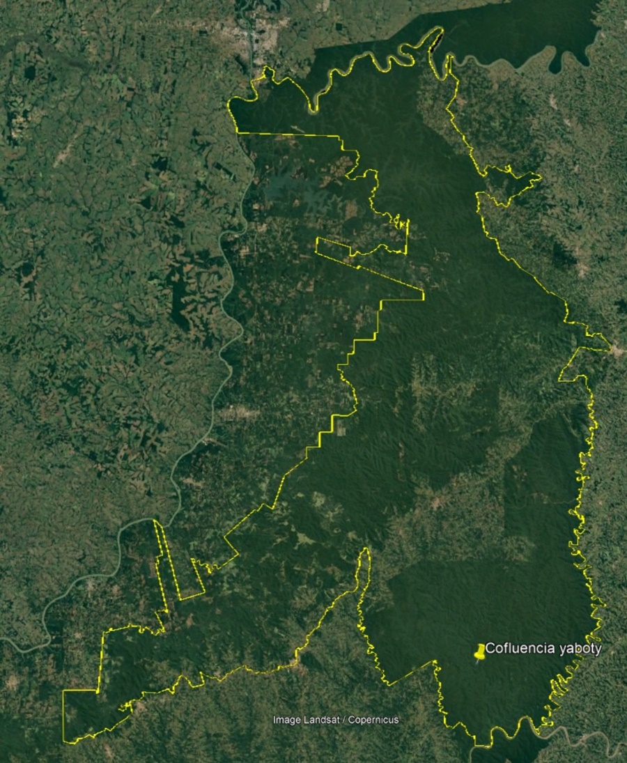 “Nos estamos quedando sin monte, sin agua y sin suelo productivo”