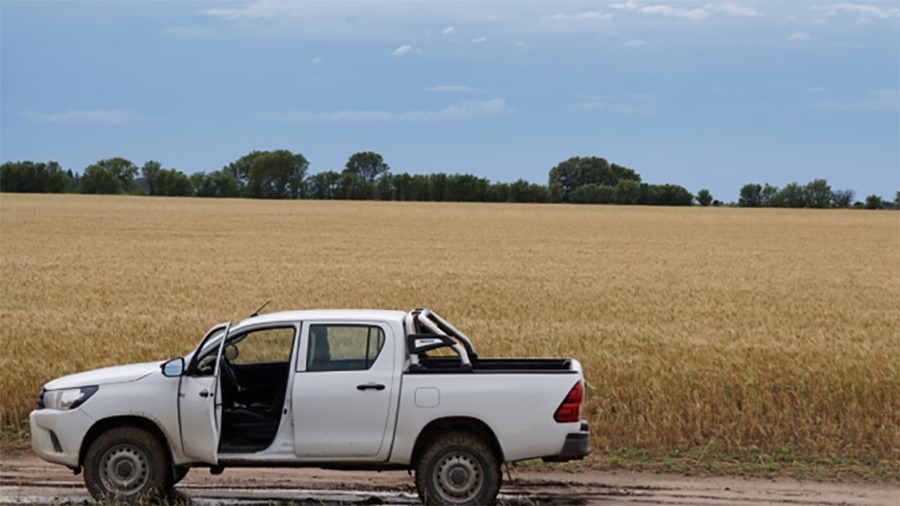 ¿Con cuantas toneladas de granos compro una camioneta en Noviembre?