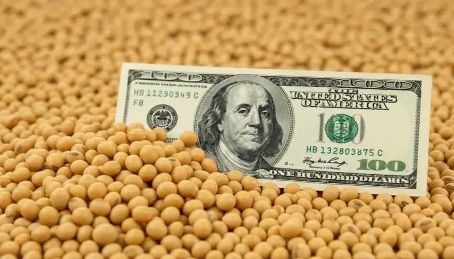 Bombazo: Para sostener el dólar, habrá retenciones cero para todos los granos hasta el 31 de Octubre