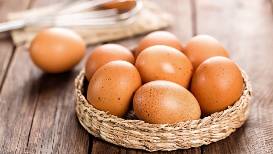 11 de Octubre: Día Mundial del huevo, el súper alimento que nutre y transforma Argentina