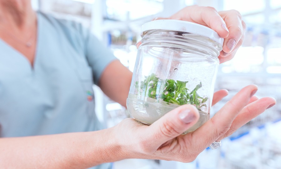 La provincia de Misiones será sede del mayor encuentro de Biotecnología del país