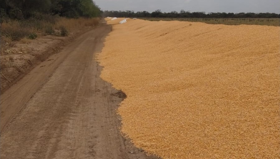 Federación Agraria repudió un nuevo ataque a silobolsas y cuestionó la “desidia estatal”