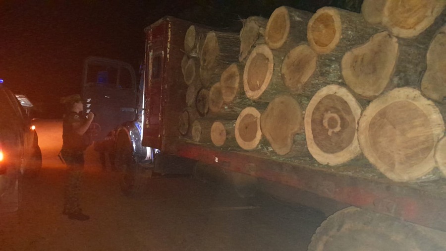 Misiones: Secuestraron un cargamento de madera nativa robada y arrestaron a los responsables