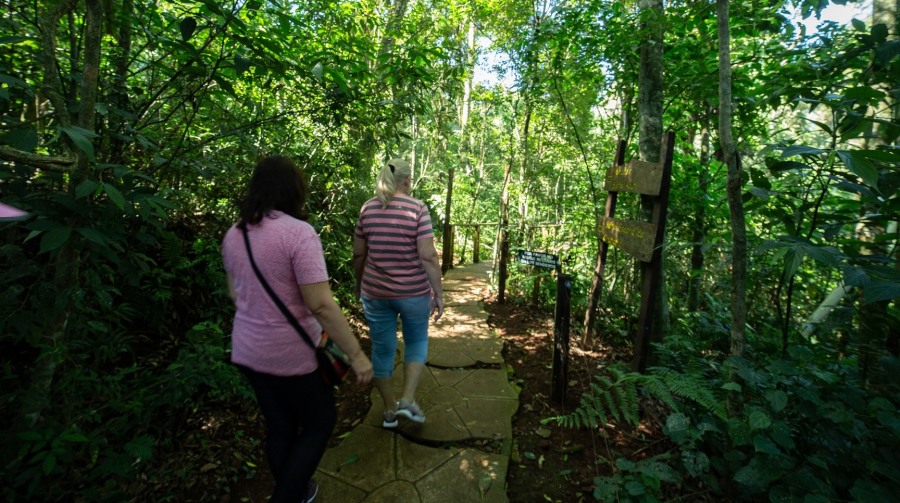 Misiones: Senderismo consciente y meditación guiada en el Parque Salto Encantado