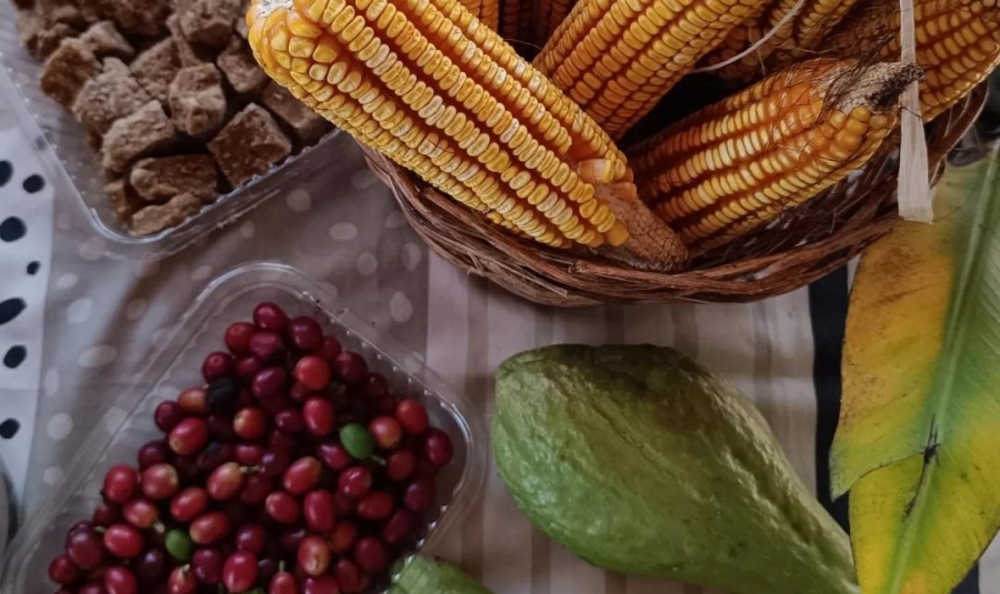 Misiones: Esta semana, la Feria de Semillas y Talleres de Producción Agroecológica, será en el Municipio de Gobernador de Roca