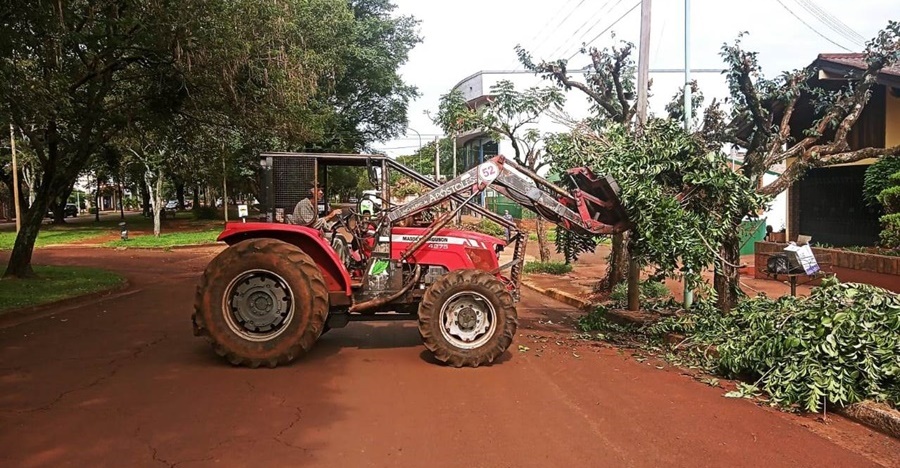 Apóstoles: A partir del mes de Abril se llevará a cabo la recolección de la poda autorizada en la vía pública de árboles del Sector I