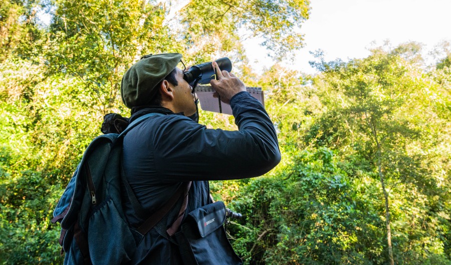 Misiones: Fin de semana de avistaje de aves en el Municipio de Corpus Christi