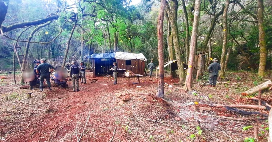 Desmantelaron un campamento donde realizaban apeo ilegal, hay tres detenidos