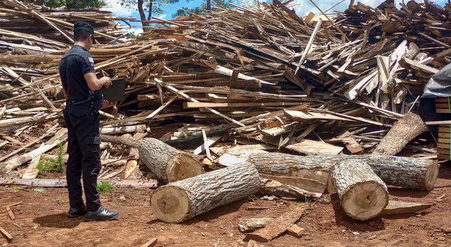 Misiones: Secuestraron madera nativa y detuvieron a un invididuo