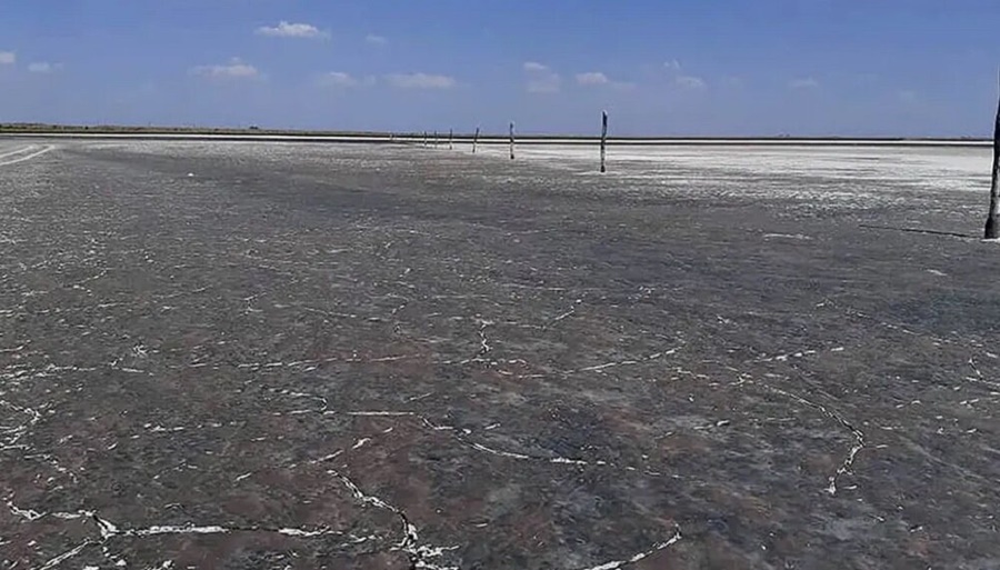 Sequía en el sur de Córdoba: Una laguna se quedó sin agua y perdió su flora y su fauna
