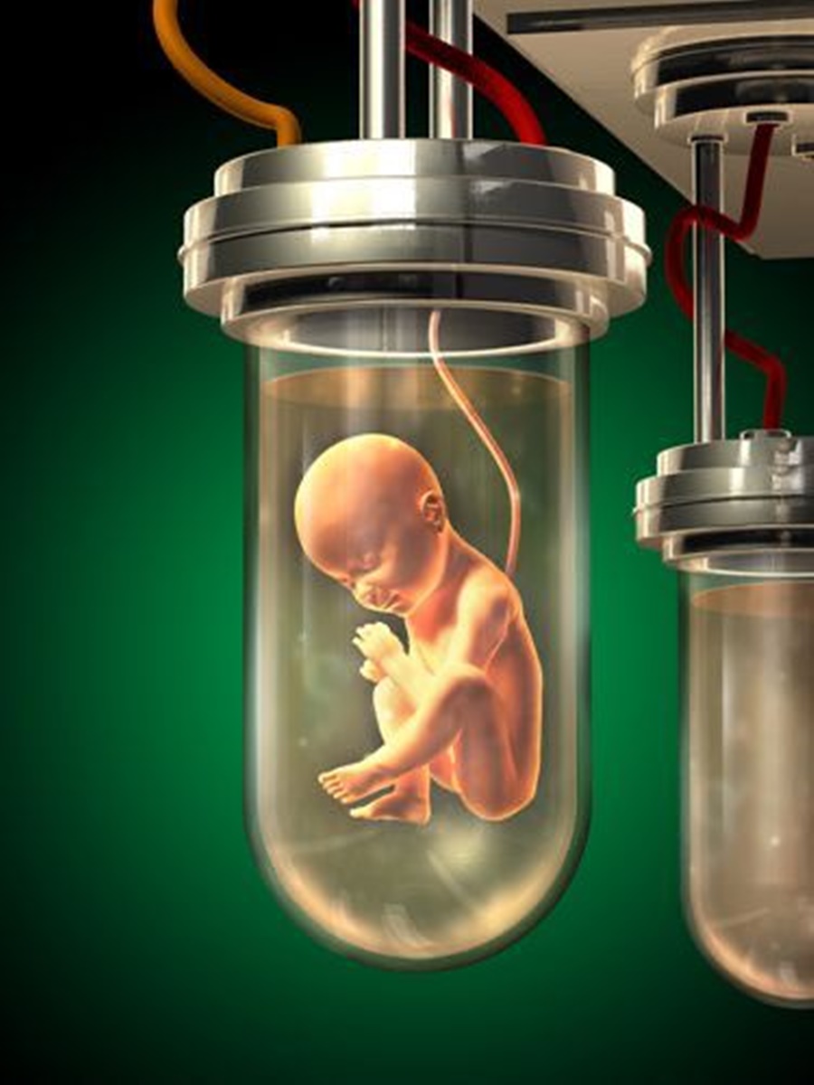 Reflexión en torno a la Bioética