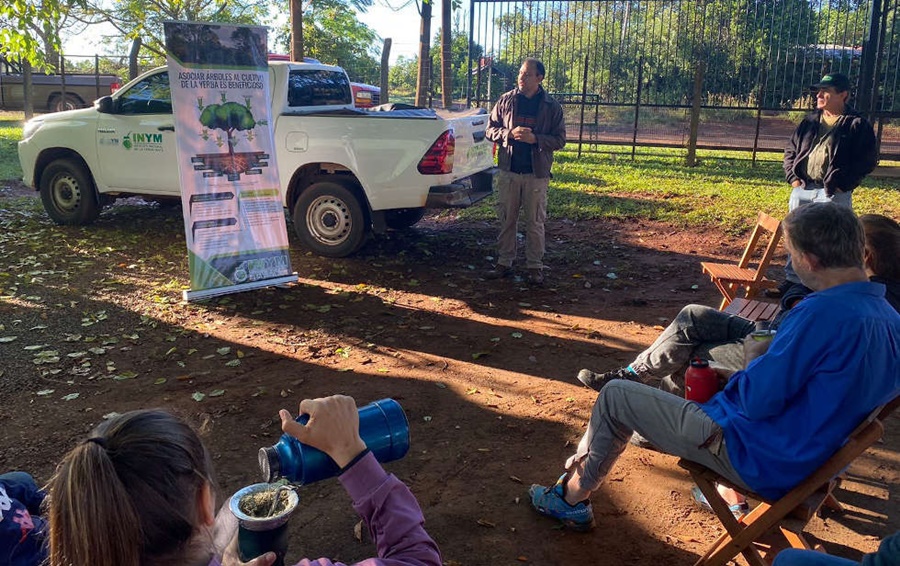 Árboles para producción sustentable en yerbales