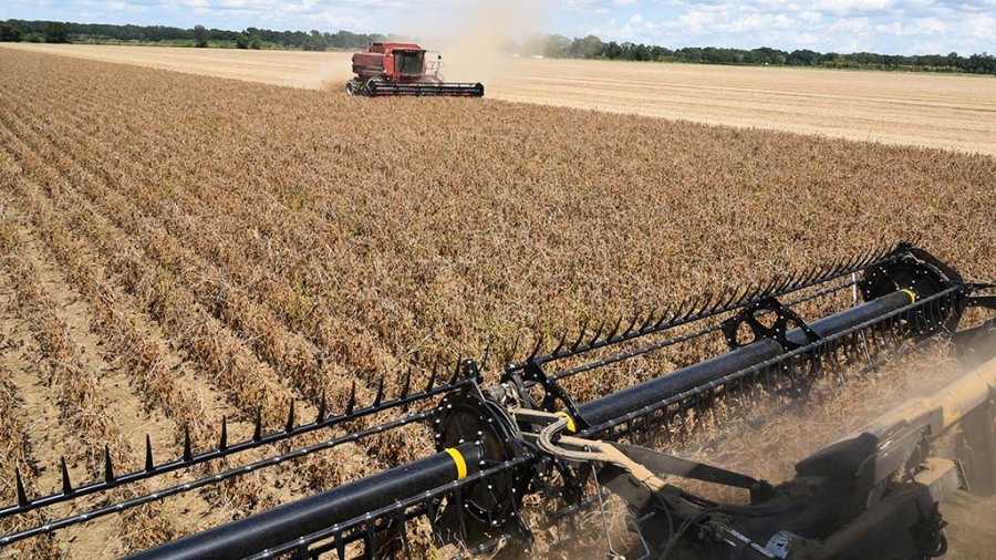 Por las lluvias, se retrasó la cosecha de soja y hay preocupación por posibles pérdidas de calidad