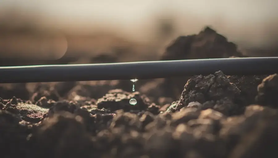 El riego por goteo se anima a lo extensivo: “Es el vector para ampliar la frontera productiva”