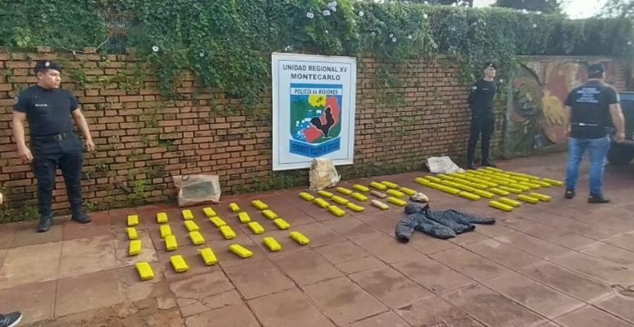 Agentes antinarcóticos de la Policía de Misiones incautaron 77 panes de marihuana ocultos en un pinar