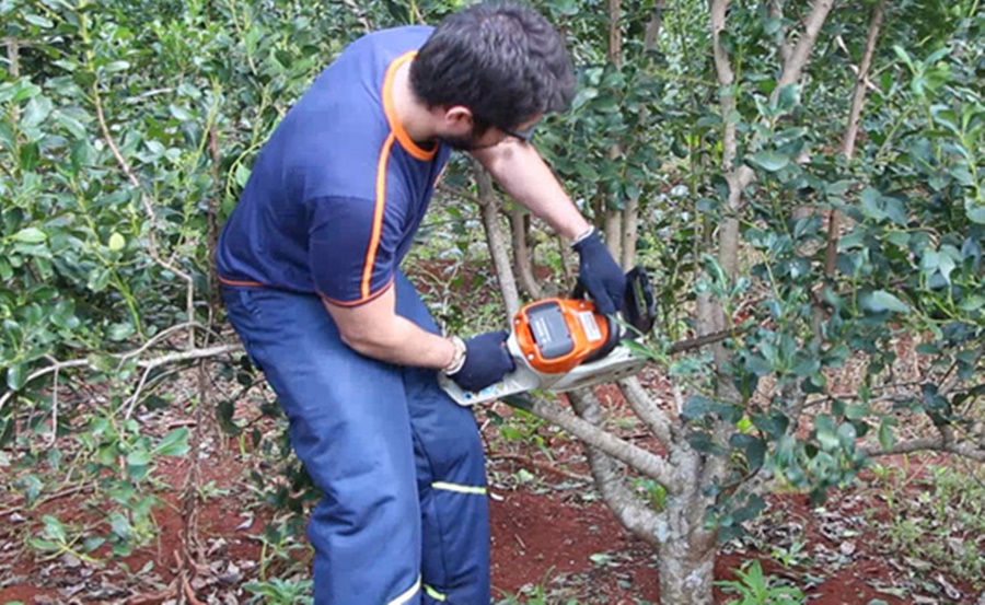 Se habilitó el Programa de Motoguadañas y Motosierras que promueve el empleo en la interzafra